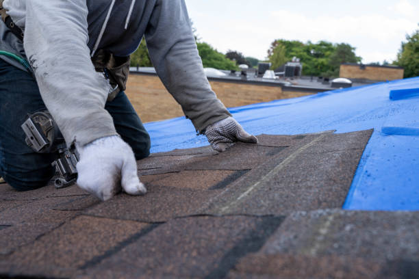 Roof Waterproofing Services in Live Oak, CA