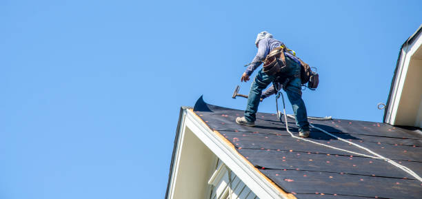 Best Roof Gutter Cleaning  in Live Oak, CA